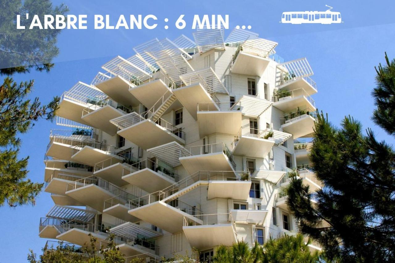 Nouveau - Jungle Montpeul - Clim - Wifi Fibre - Netflix - 5' Du Centre Et Gare - Parking - Loggia - 15' Des Plages Montpellier Exterior foto